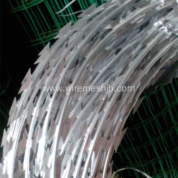 Green Color PVC Coated Concertina Razor Wire